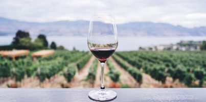 The M Wine Tasting Experience